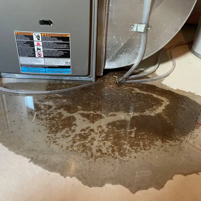 Appliance Leak Cleanup in Holt, AL